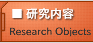 研究内容